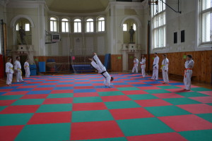 2020.06 SM Vysoké Mýto - přízemní akrobacie a pády_2