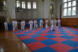 2020.06 SM Vysoké Mýto - přízemní akrobacie a pády_3