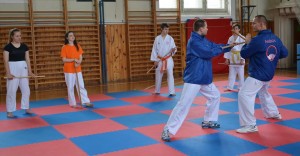 2020.06 SM Vysoké Mýto - tyč_1