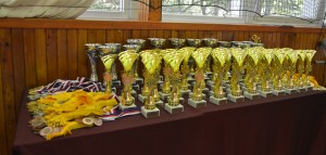 2020.10.03 Shotokan Cup Vamberk 2020 - poháry_0019