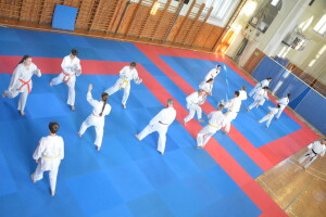 2024.06.07. 14. VM Sparing Camp Karate Vysoké Mýto_0021