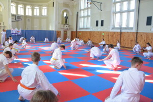 2025.05 SM Vysoké Mýto - fotky VMy_0192 - nácvik pádů