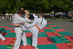 2025.06.04. Sportovní Den Vysoké Mýto - fotky VMy_0040 - ukázka obloukových kopů