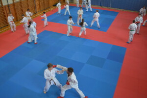 2025.06.06. 18. VM Sparing Camp Karate VMy_0032