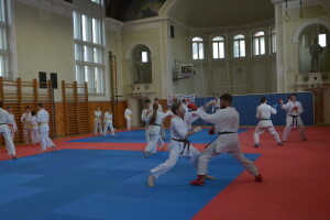 2025.06.06. 18. VM Sparing Camp Karate VMy_0037