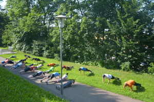 2025.06.12. venkovní trénink VMy_0832