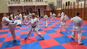 2025.08.22.-23. 19. VM Sparing Camp Karate - sparing 1