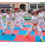 2016.06.03 Sportovní den Vysoké Mýto_001