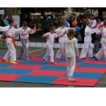 2016.06.03 Sportovní den Vysoké Mýto_003